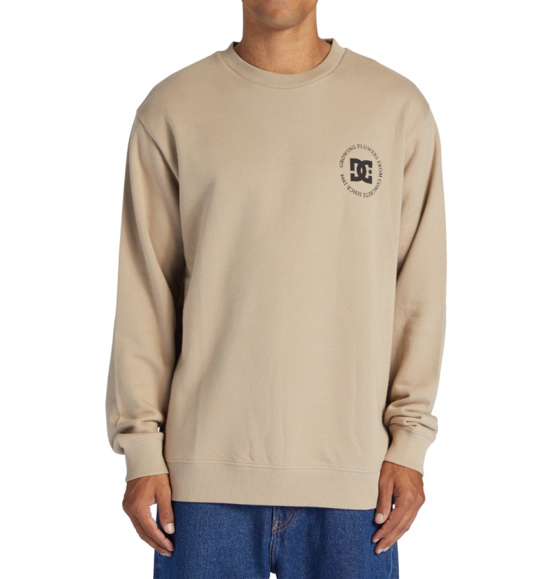 Plaza Taupe DC Shoes Concrete - Sweatshirt | UKO-082736