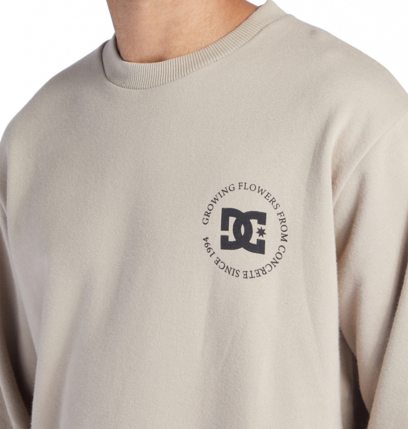 Plaza Taupe DC Shoes Concrete - Sweatshirt | UKO-082736