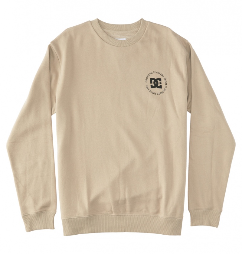 Plaza Taupe DC Shoes Concrete - Sweatshirt | UKO-082736