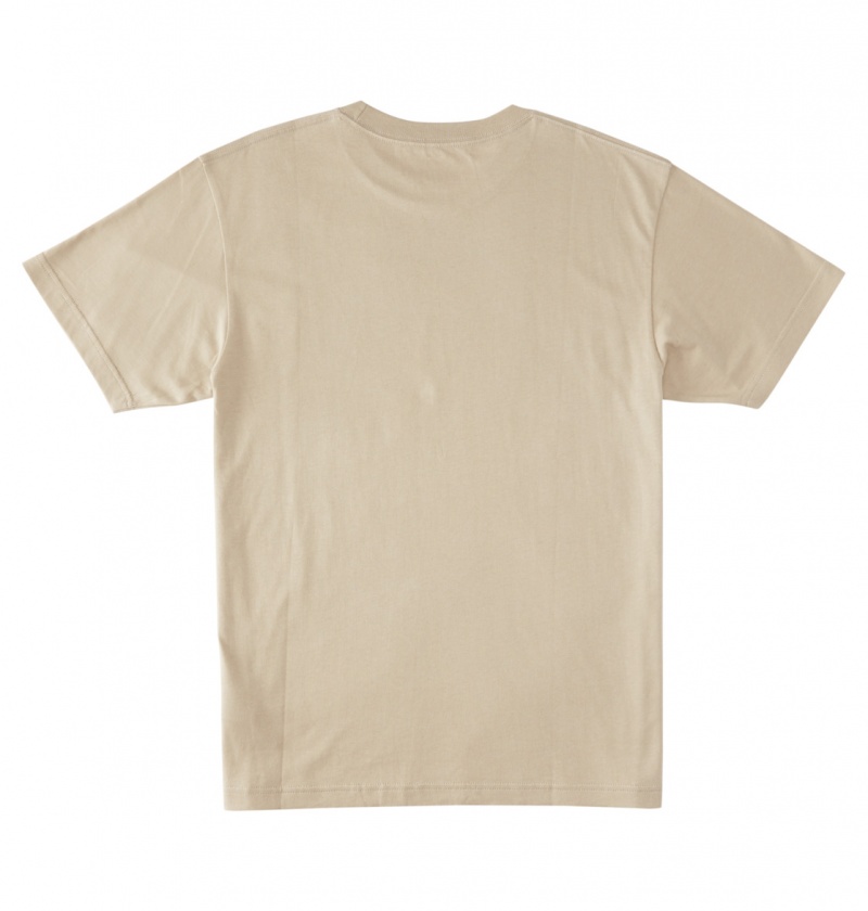 Plaza Taupe DC Shoes Happy Hour - T-Shirt | RLI-409358