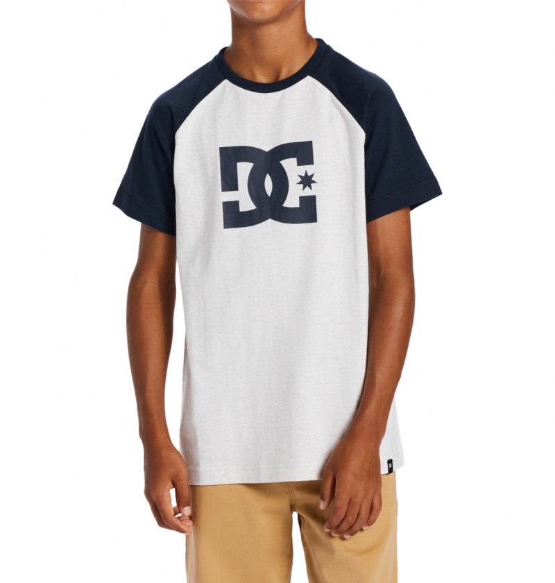 Snow Heather / Navy Blazer DC Shoes DC Star - T-Shirt | ZEK-360958