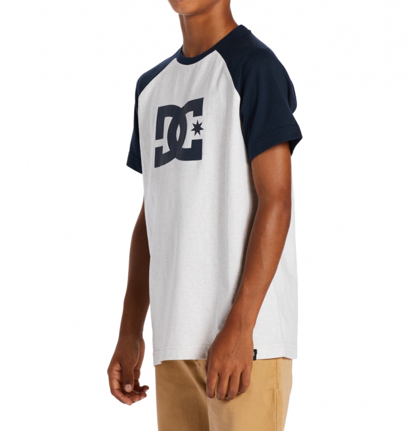 Snow Heather / Navy Blazer DC Shoes DC Star - T-Shirt | ZEK-360958