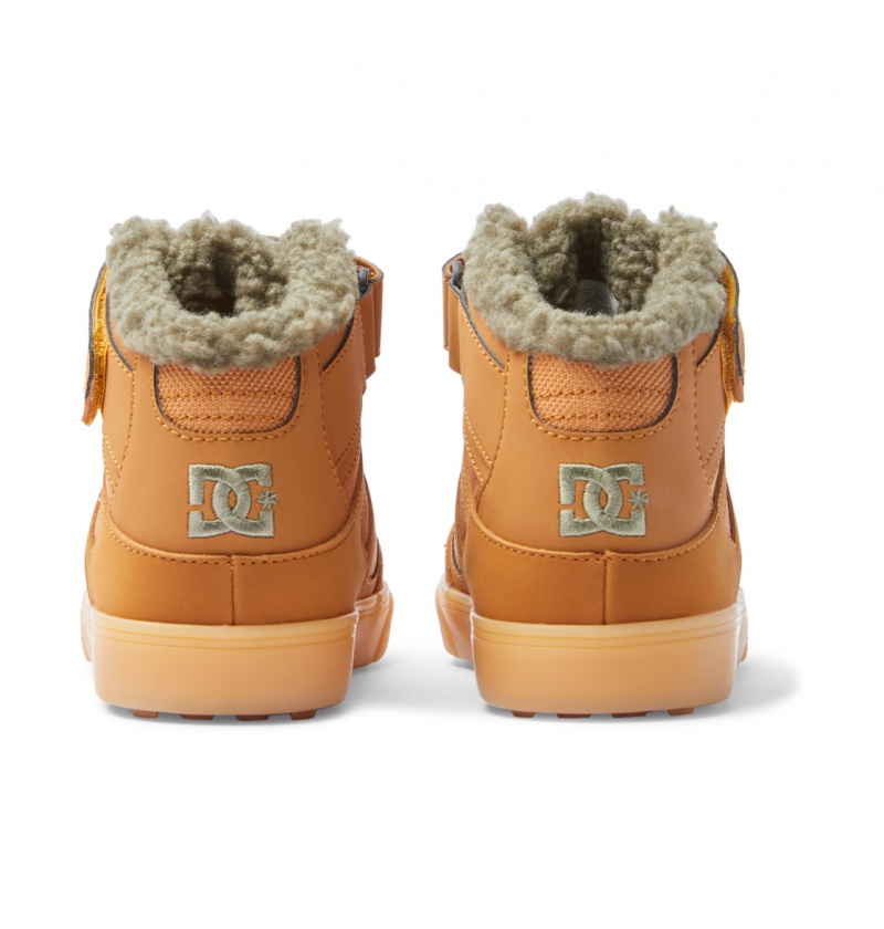 Wheat DC Shoes Pure High WNT - Winter High-Top Boots | BJG-536492