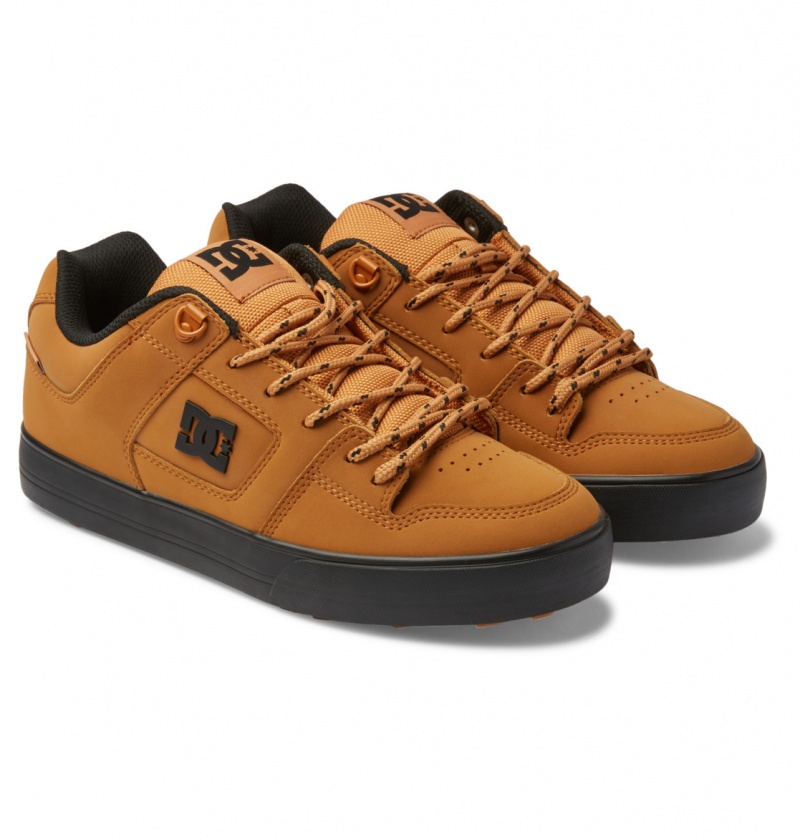 Wheat DC Shoes Pure WNT - Winterised Shoes | QRU-512796