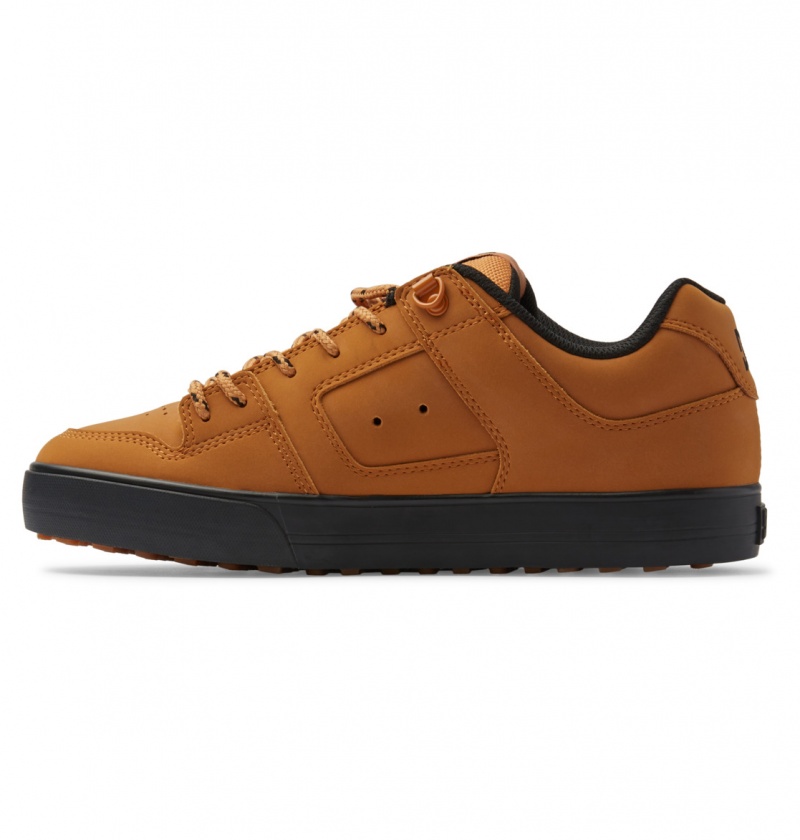 Wheat DC Shoes Pure WNT - Winterised Shoes | QRU-512796