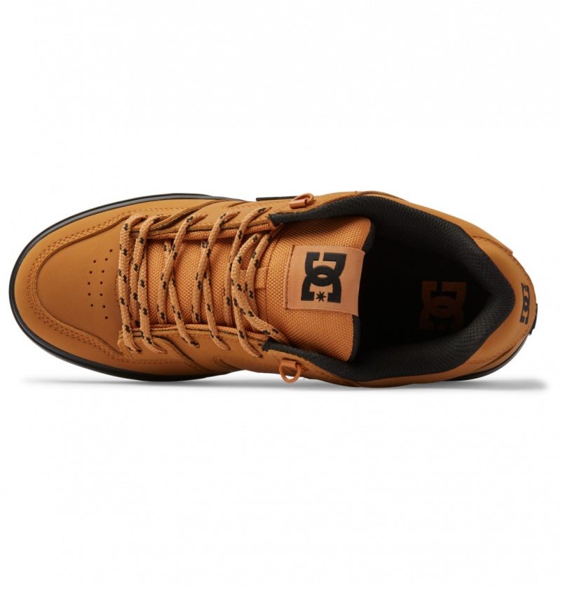 Wheat DC Shoes Pure WNT - Winterised Shoes | QRU-512796