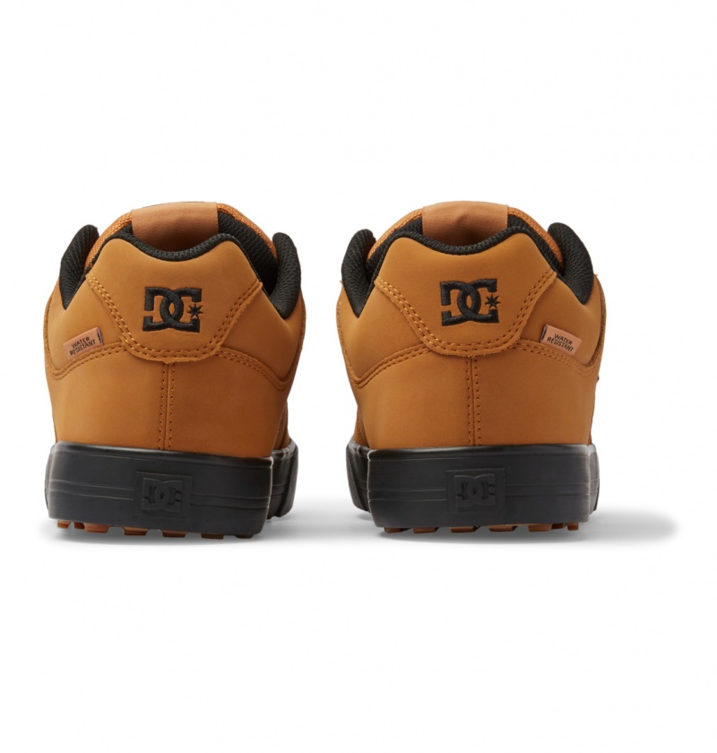 Wheat DC Shoes Pure WNT - Winterised Shoes | QRU-512796