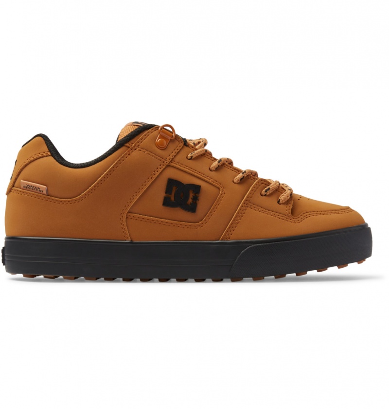 Wheat DC Shoes Pure WNT - Winterised Shoes | QRU-512796