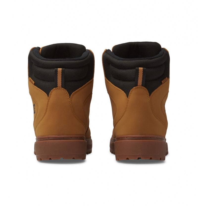 Wheat / Black DC Shoes Peary Tr - Leather Boots | HWI-840235