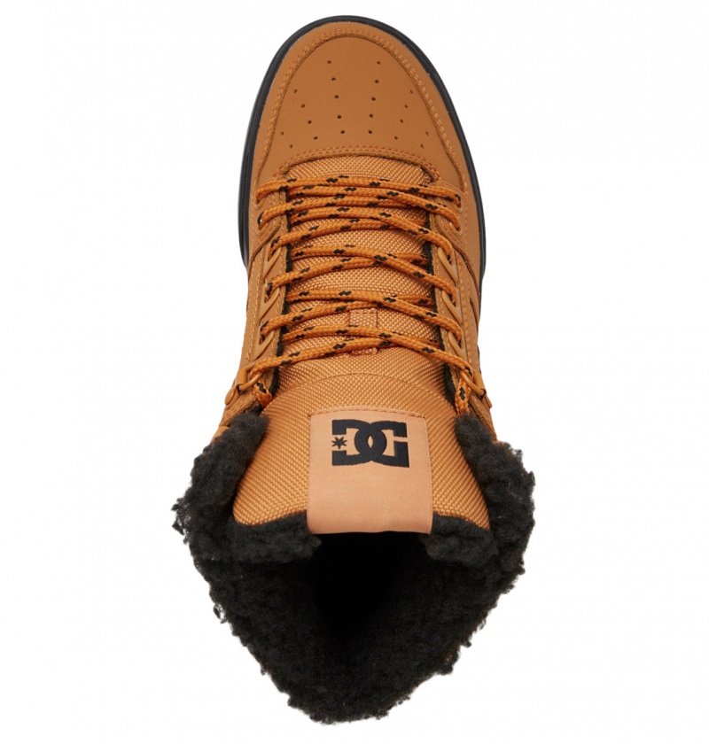 Wheat / Black DC Shoes Pure High WNT - Winter High-Top Boots | HEV-650482