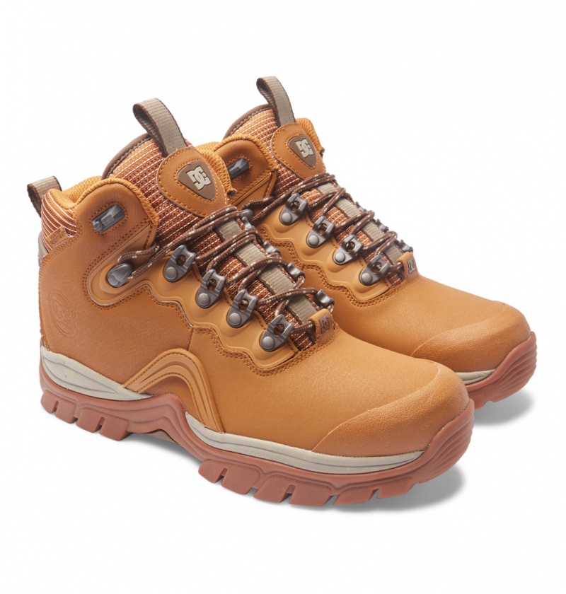 Wheat / Dk Chocolate DC Shoes Navigator - Leather High Top Boots | AWP-392640