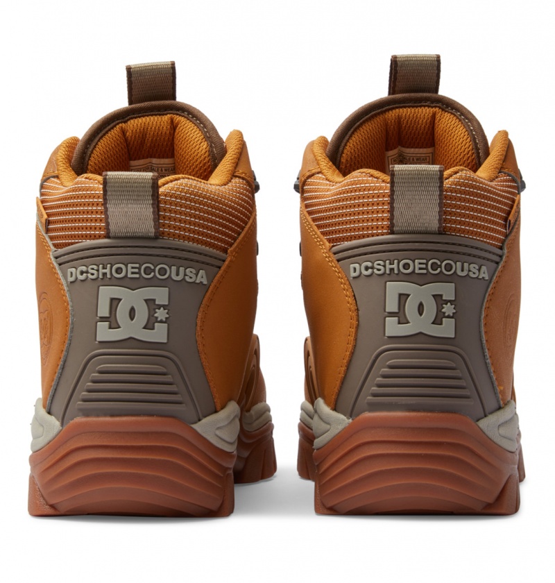 Wheat / Dk Chocolate DC Shoes Navigator - Leather High Top Boots | AWP-392640