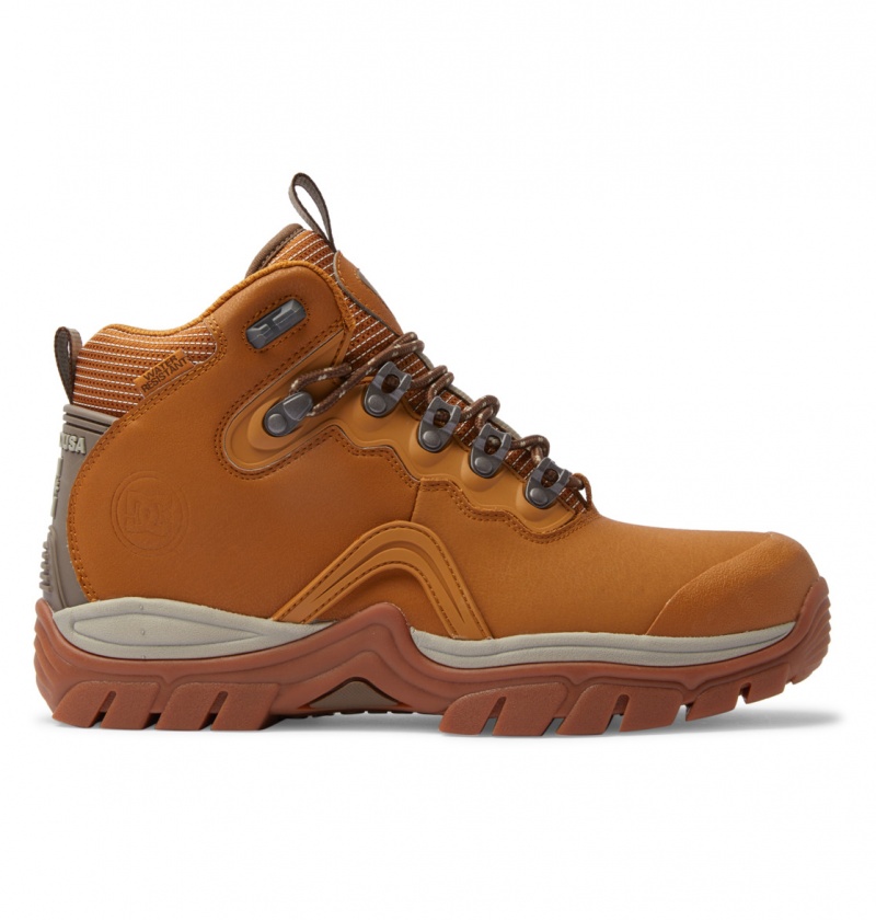 Wheat / Dk Chocolate DC Shoes Navigator - Leather High Top Boots | AWP-392640