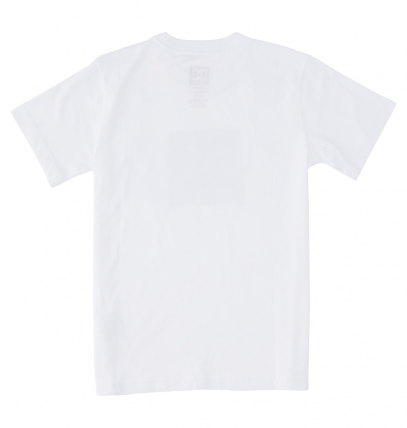 White / Greystone DC Shoes DC Square Star Fill - Short Sleeve T-Shirt 8-16 | OMS-795302