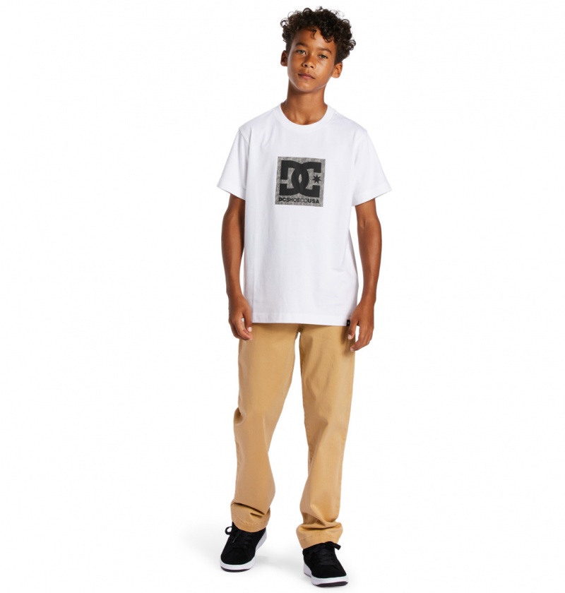 White / Greystone DC Shoes DC Square Star Fill - Short Sleeve T-Shirt 8-16 | OMS-795302