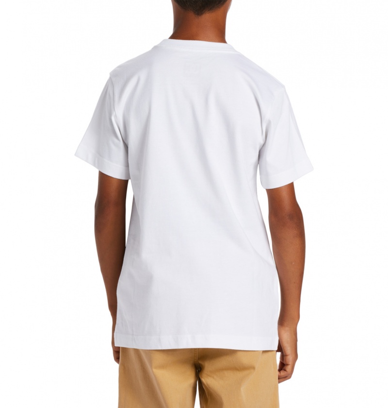 White / Greystone DC Shoes DC Square Star Fill - Short Sleeve T-Shirt 8-16 | OMS-795302